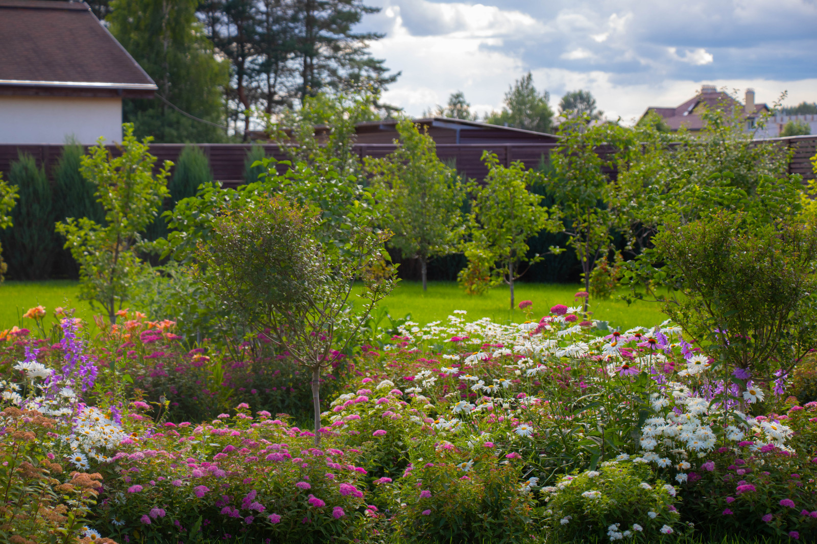 Сосновые берега