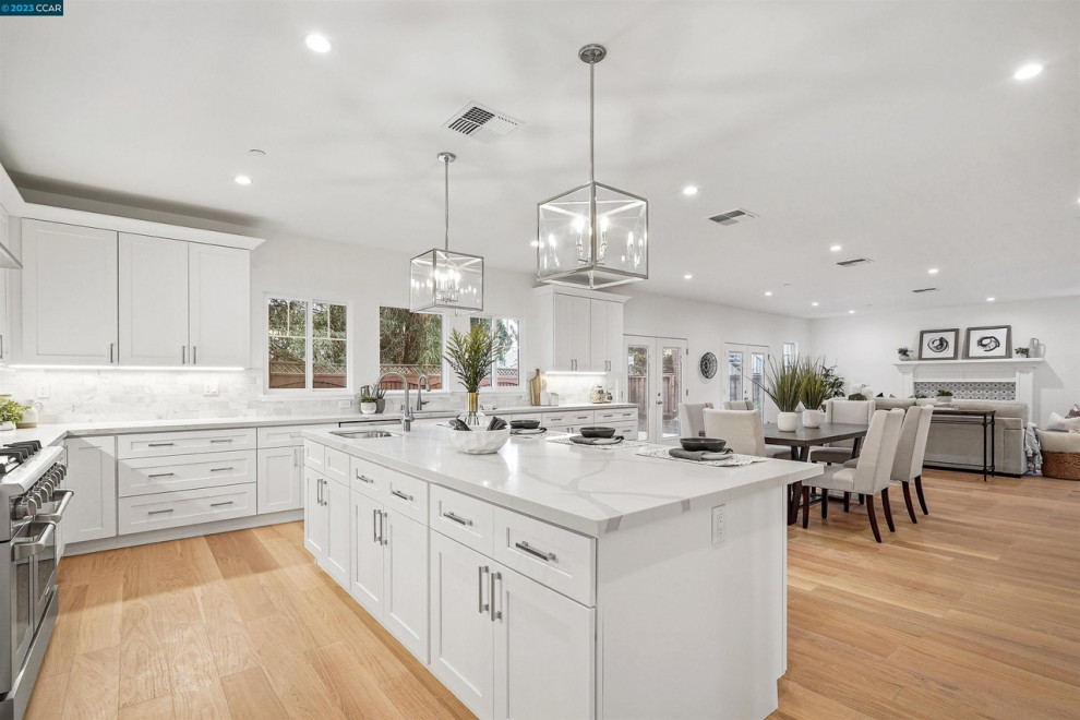 Whole House Remodel