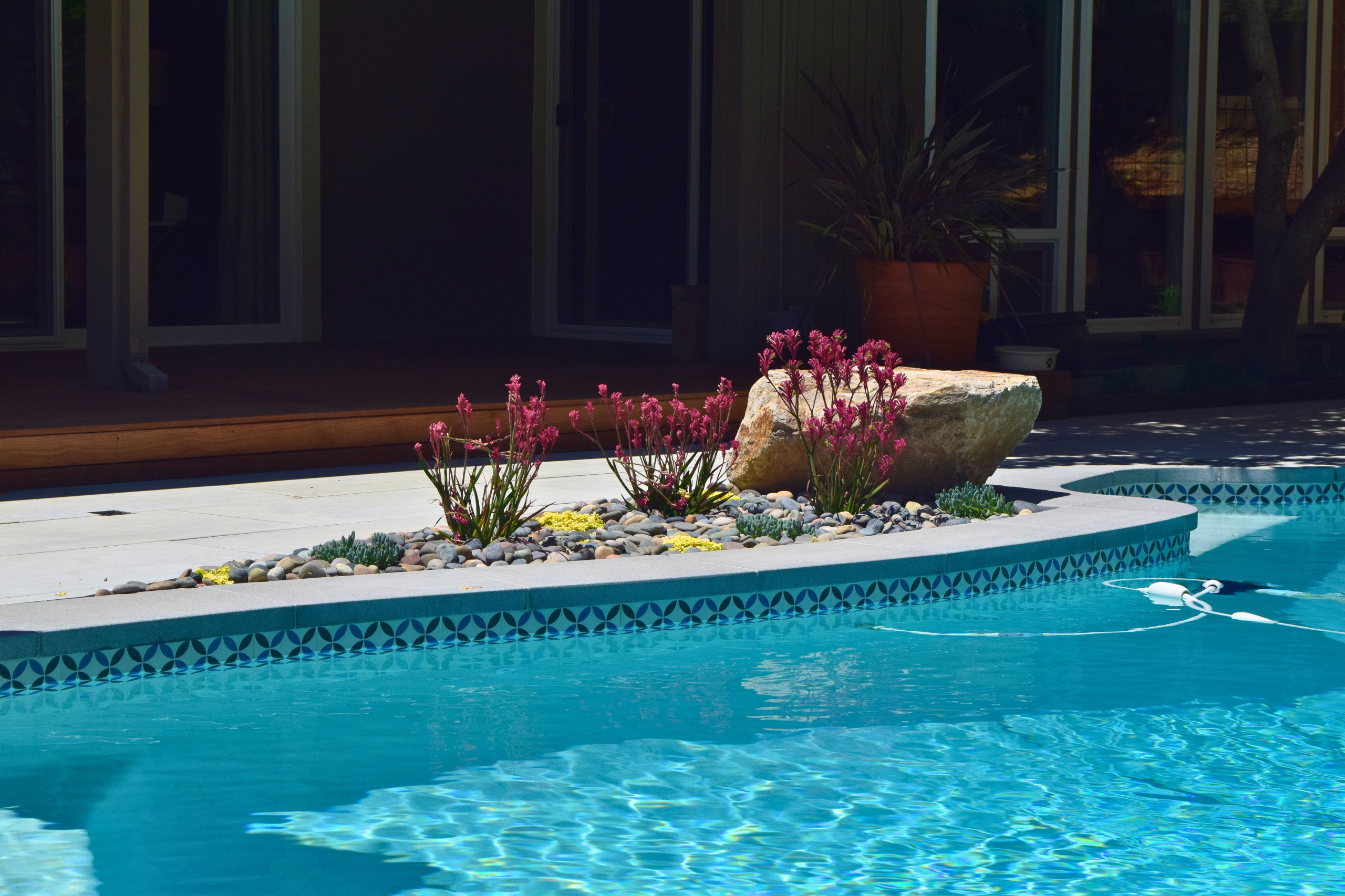 Backyard Pool Deck in San Rafael