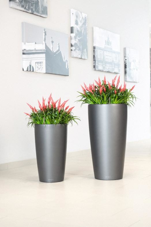 Уникальные и элегантные