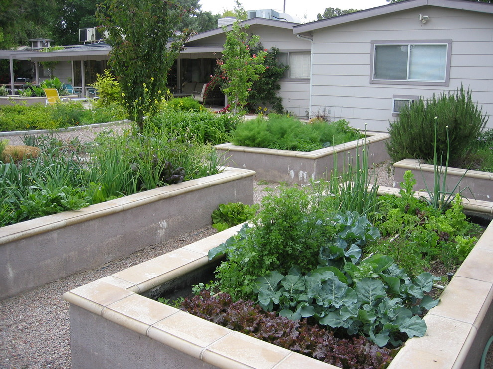 Inspiration for a transitional garden in Las Vegas with a vegetable garden.