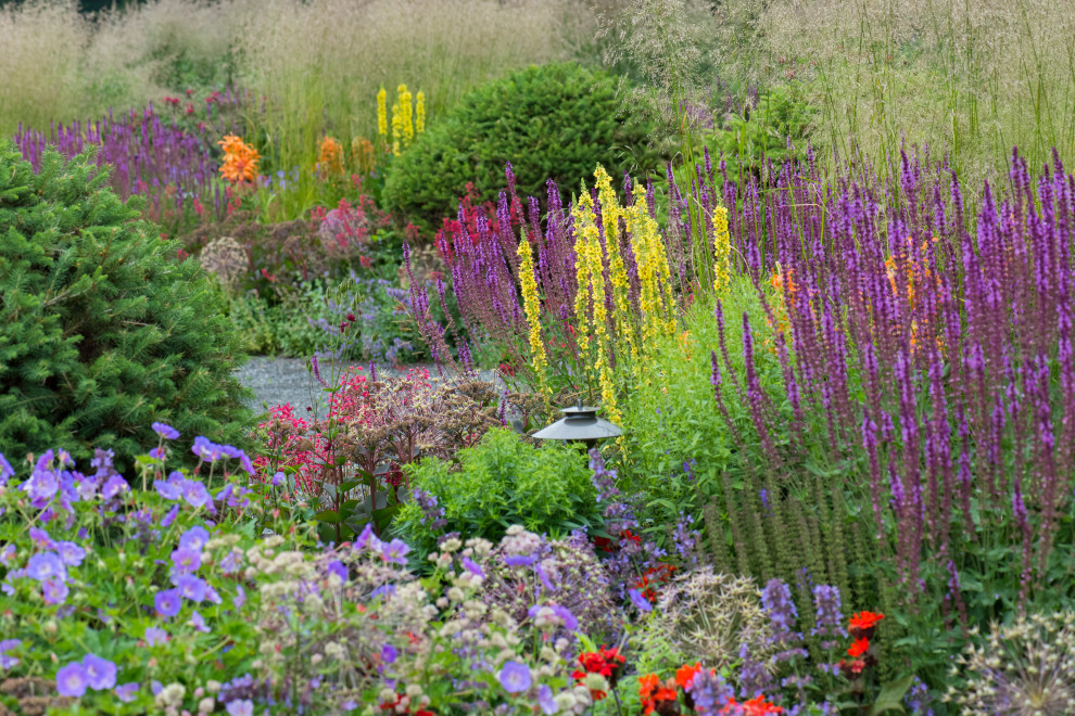 Многолетники