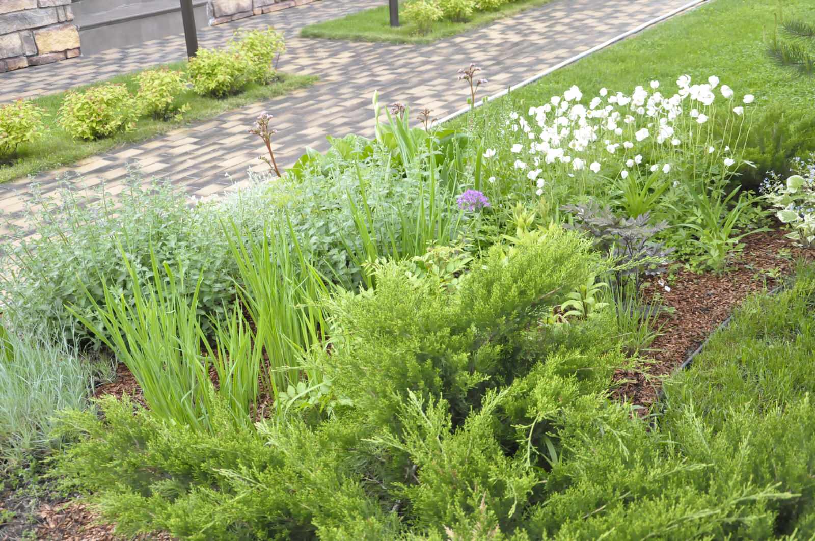 кп "Папушево" - Профессиональный уход за садом - 100% качество!