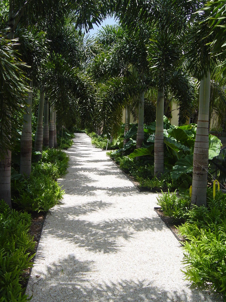 Design ideas for a tropical garden in Tampa.