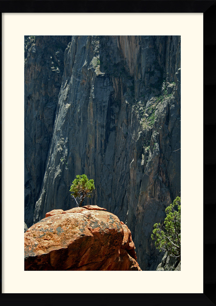 Black Canyon Pinon Framed Print by Andy Magee