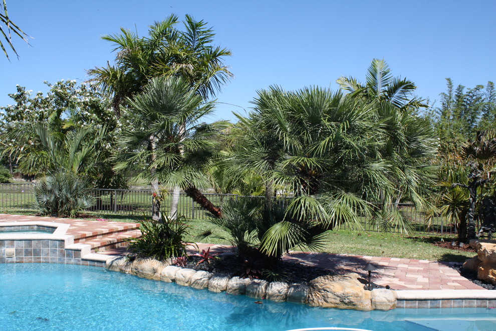 This is an example of a large tropical backyard custom-shaped natural pool in Tampa with a water feature and brick pavers.