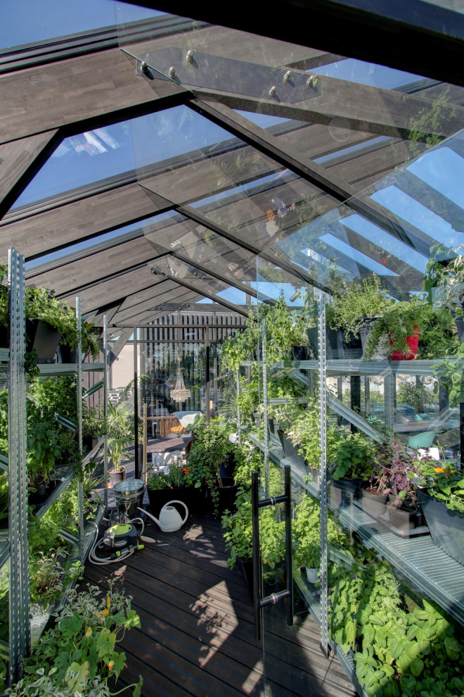 Aménagement d'un grand balcon exotique avec une extension de toiture et un garde-corps en verre.
