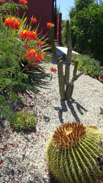 Low-Maintenance Landscape Elements garten