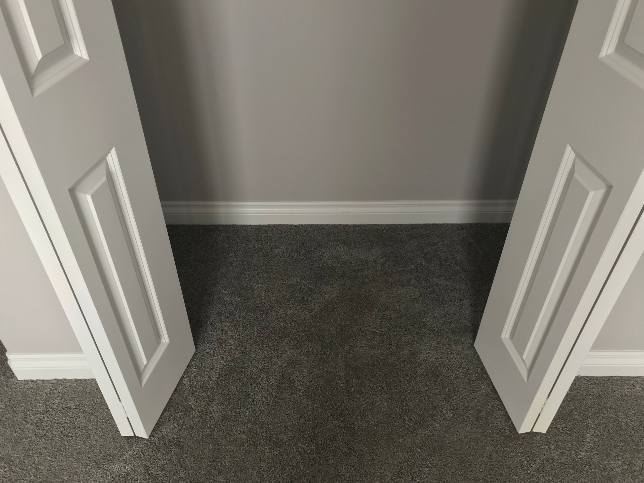 Carpet