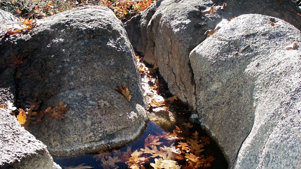Inspiration for a rustic backyard water fountain landscape.