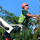 Keener Landscaping & Tree Services