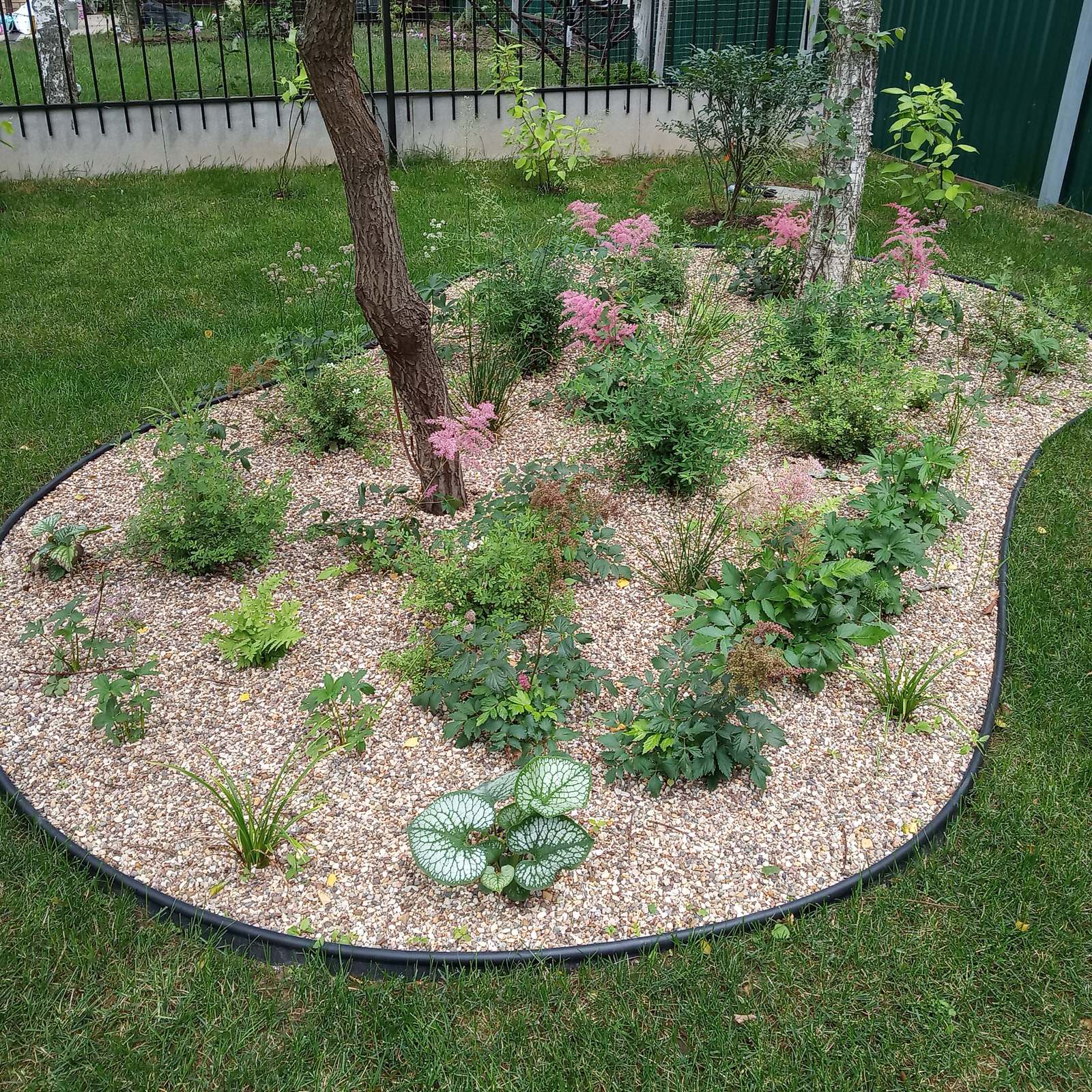 Берёзки и камни