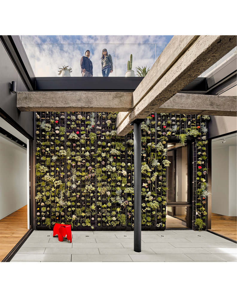 Inspiration for an industrial landscaping in San Francisco.