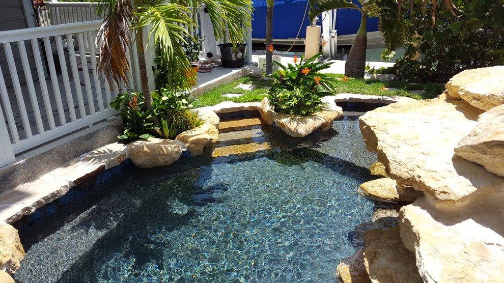 Small tropical backyard custom-shaped natural pool in Miami with natural stone pavers and a water feature.