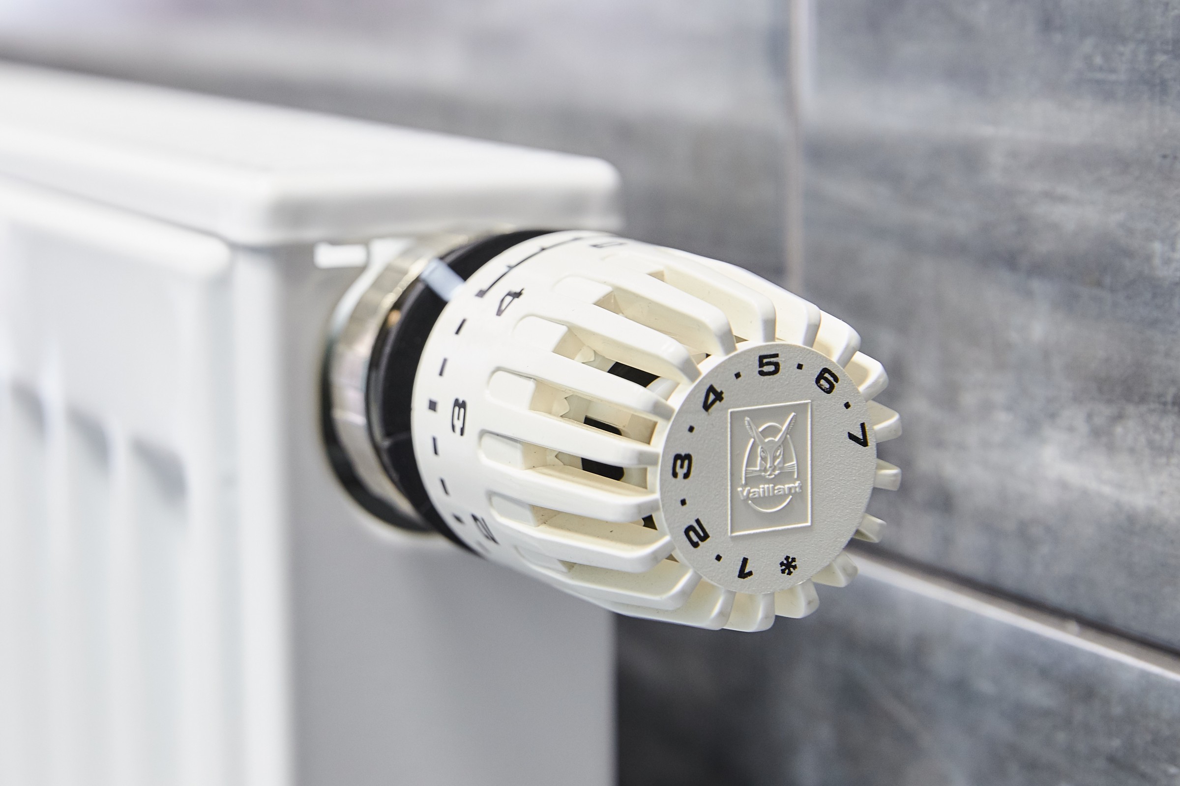 Дом в п. Родной