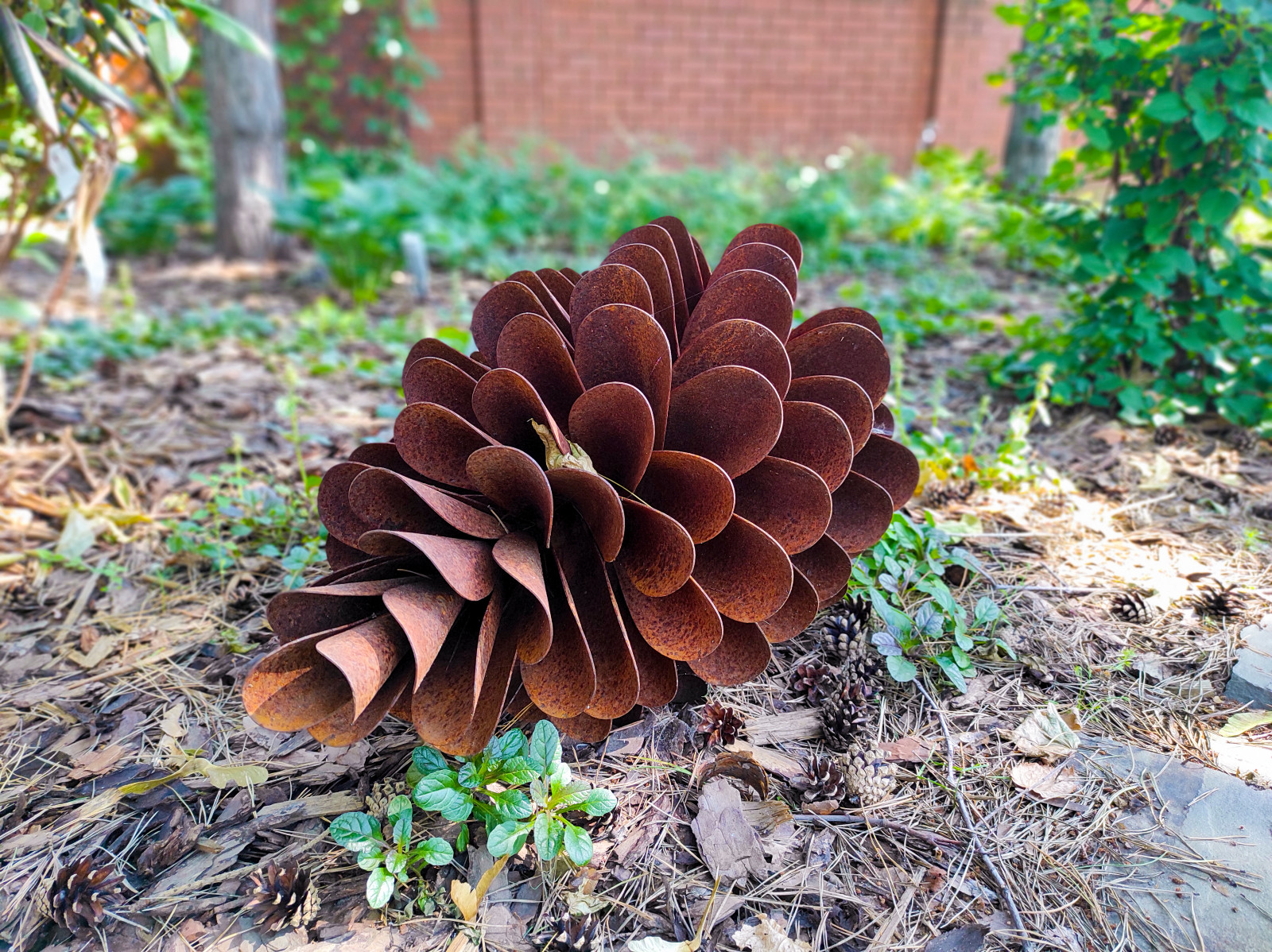 Долгопрудный, 2020 г.