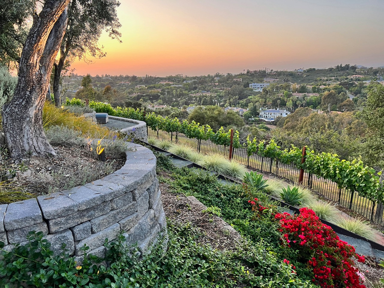 Rancho Santa Fe Retreat
