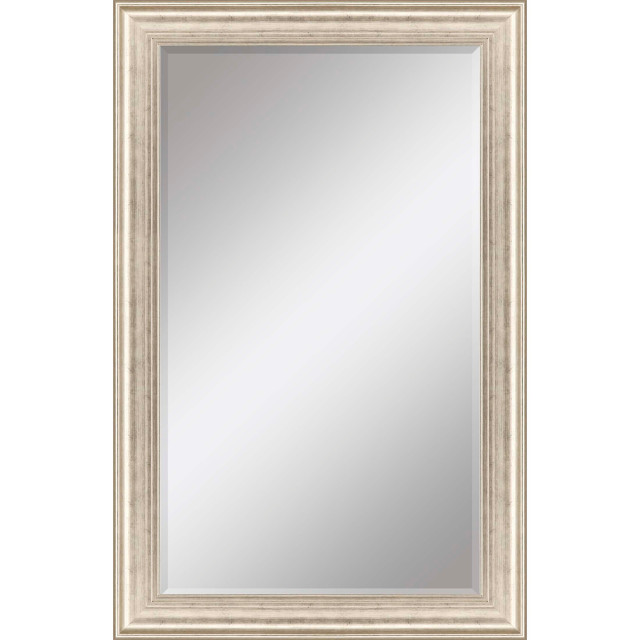 Paragon 735 30x72 Beveled Mirror Traditional Wall Mirrors by