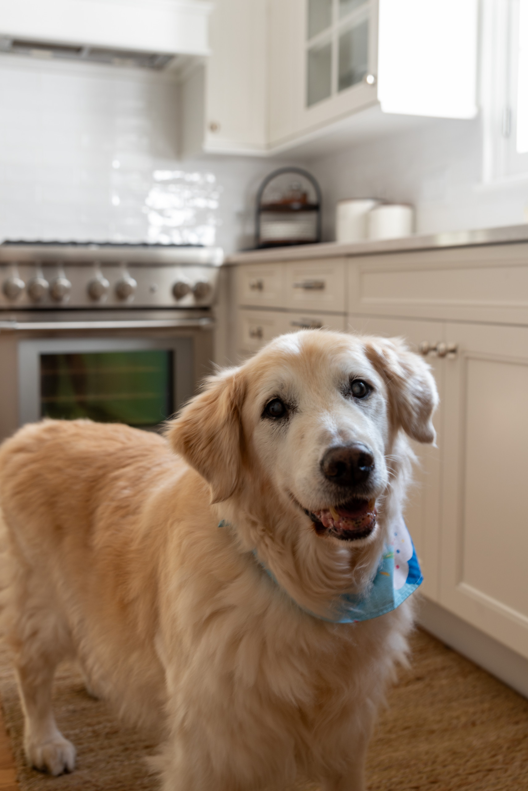 Kenilworth Kitchen Refresh