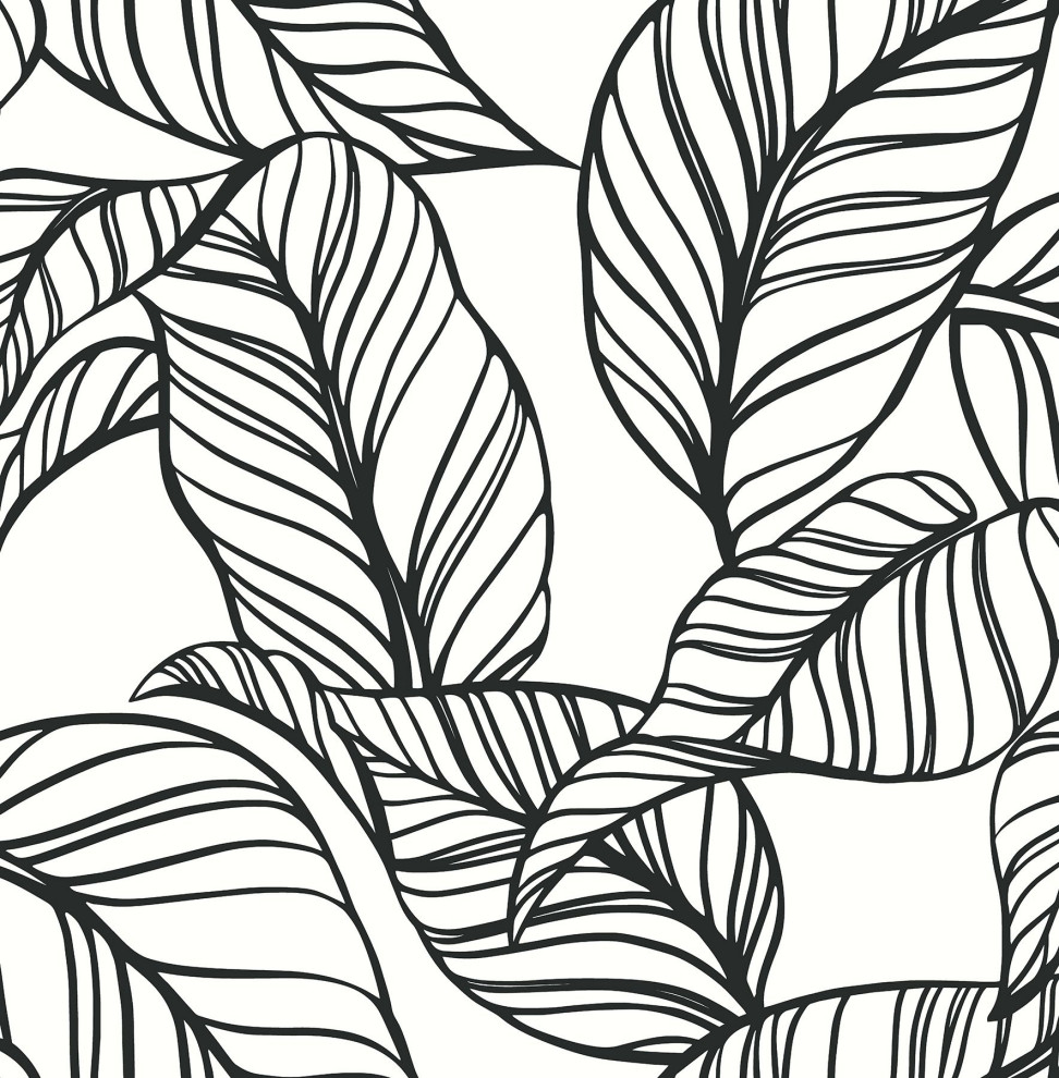 AST3786 Kagan Large Leaf Wallpaper in Black White Damask Overlap Lines Design