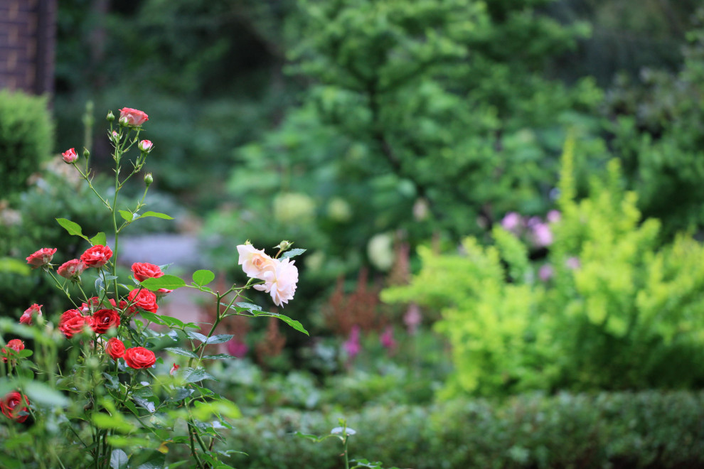 Сад Флориста