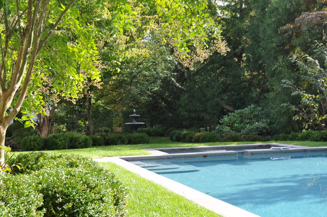 Devon, PA traditional-swimming-pool-and-hot-tub