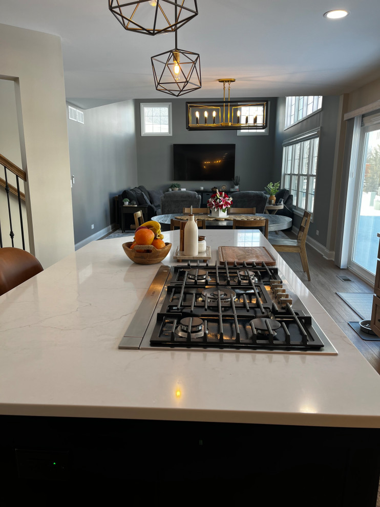 Hoffman Estates Main Level Renovation