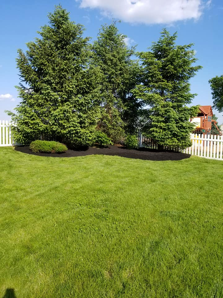 Landscaping projects