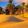 pilar_coia