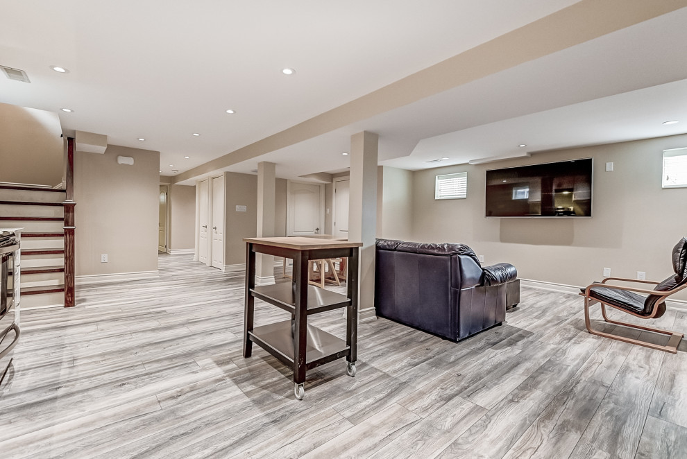 Basement - transitional basement idea