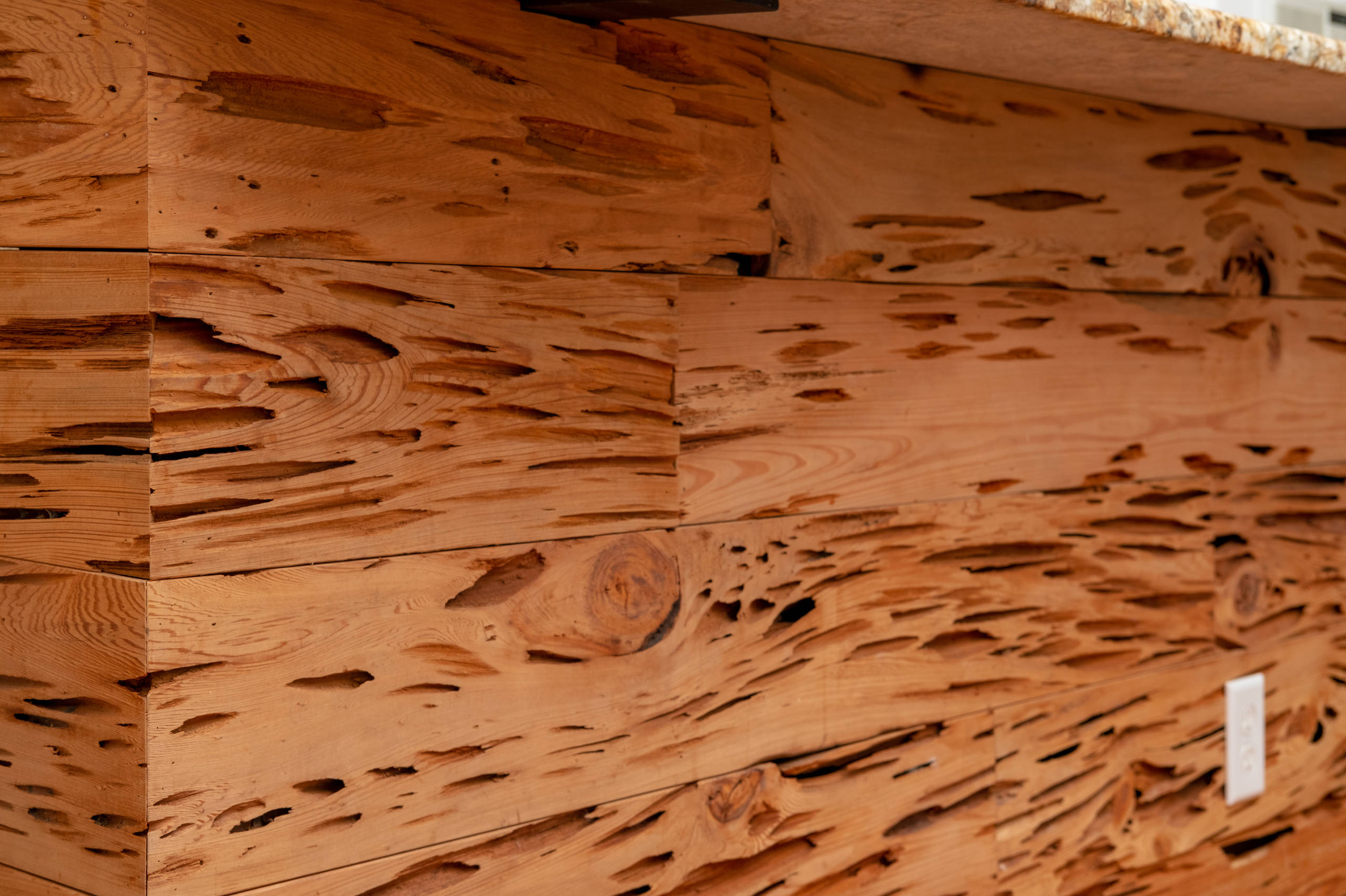 Siesta Key Woodworking + Deck