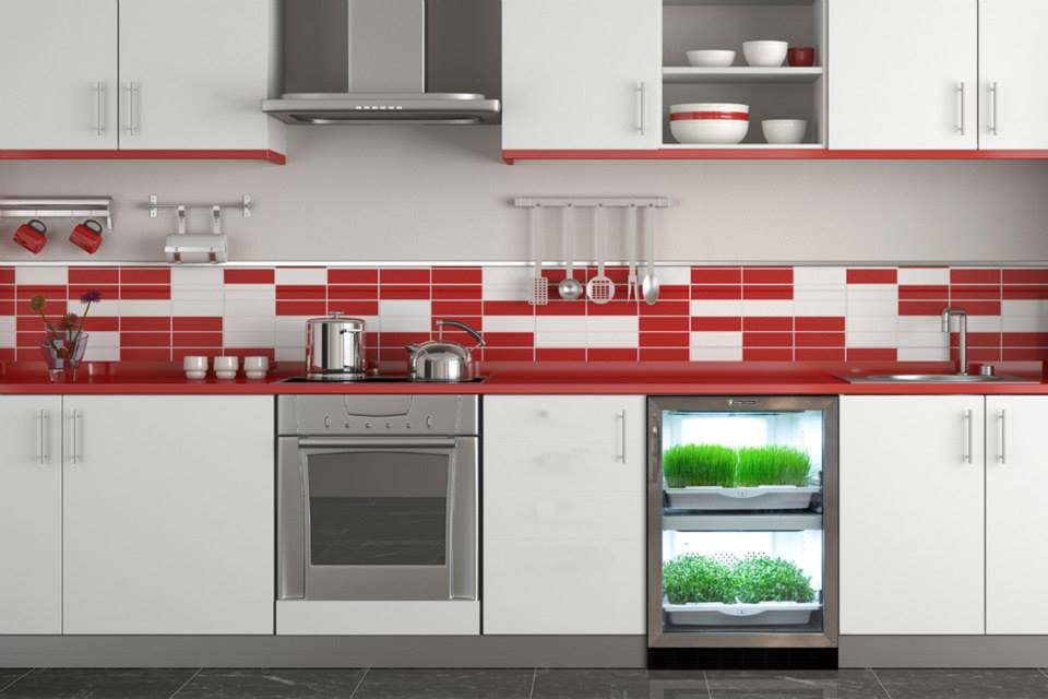 Design ideas for a mid-sized contemporary single-wall separate kitchen in New York with a drop-in sink, flat-panel cabinets, white cabinets, solid surface benchtops, multi-coloured splashback, mosaic tile splashback, stainless steel appliances, porcelain floors, no island, grey floor and red benchtop.