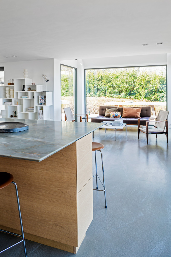 Example of a mid-sized danish galley concrete floor and gray floor open concept kitchen design in Copenhagen with an undermount sink, flat-panel cabinets, quartzite countertops, an island and gray countertops