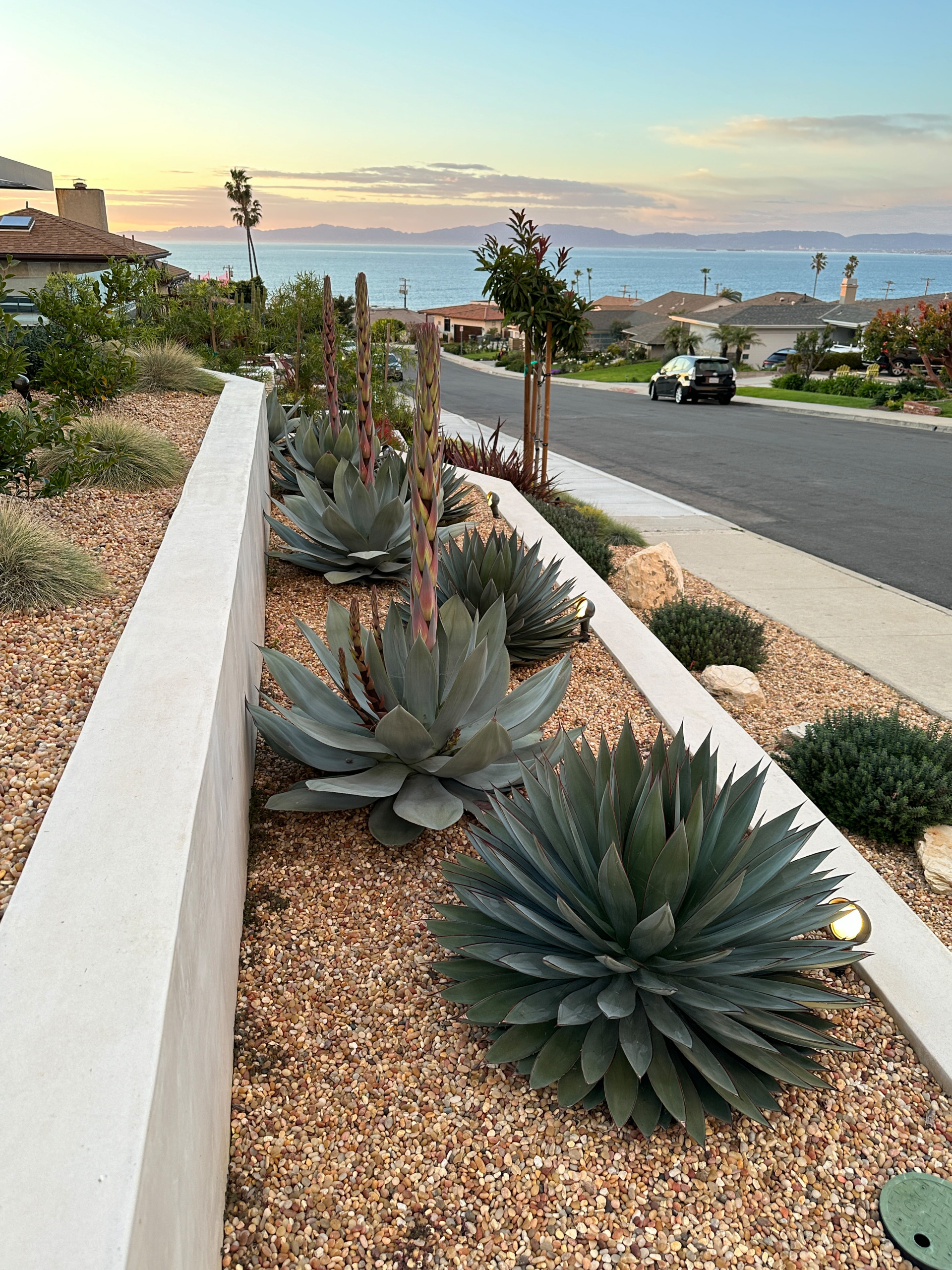Ocean View Modern Front Yard Landscape