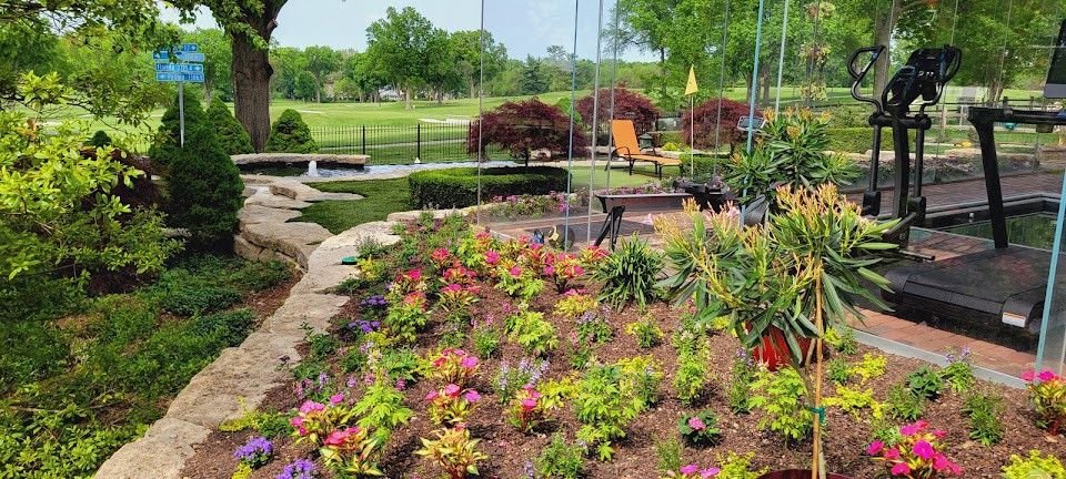 Annual Color Garden