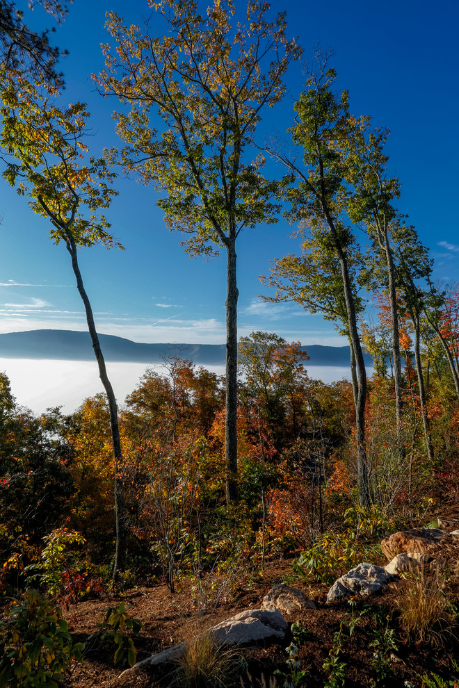 Mountain Estate | The Greenbrier Resort, West Virginia