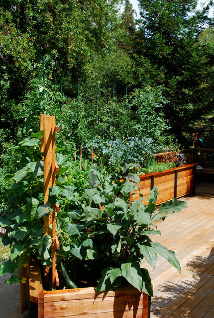 JD Garden, Hillsborough american-traditional-terrace