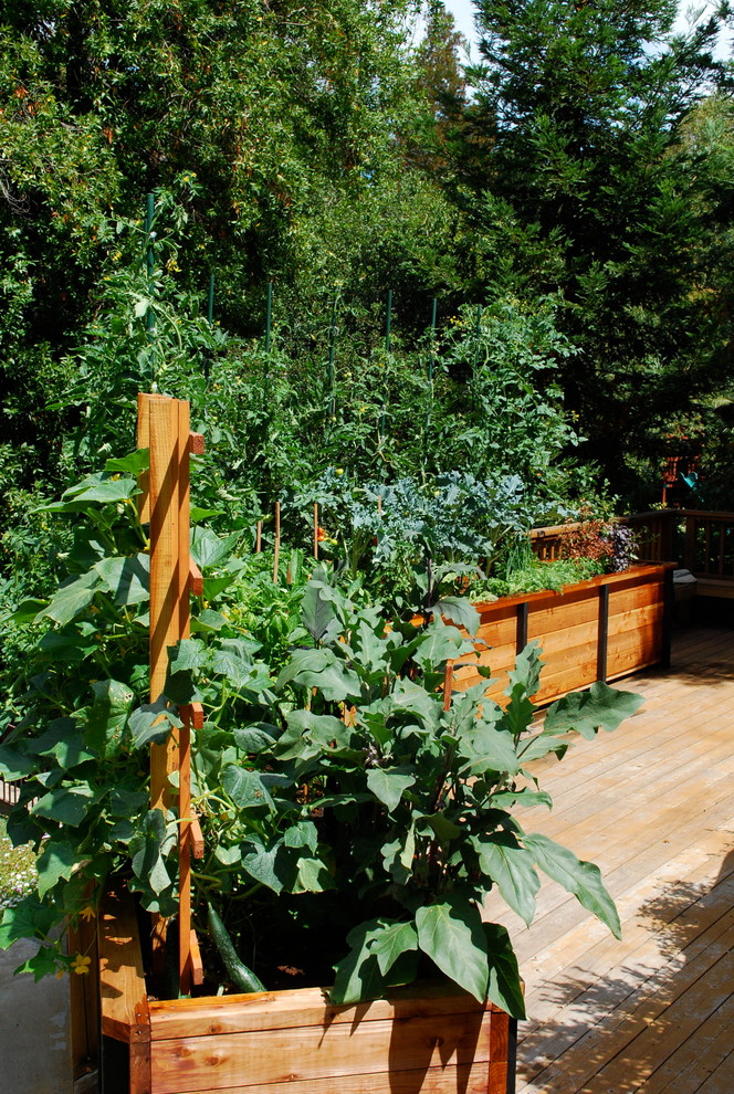 Traditional deck in San Francisco.