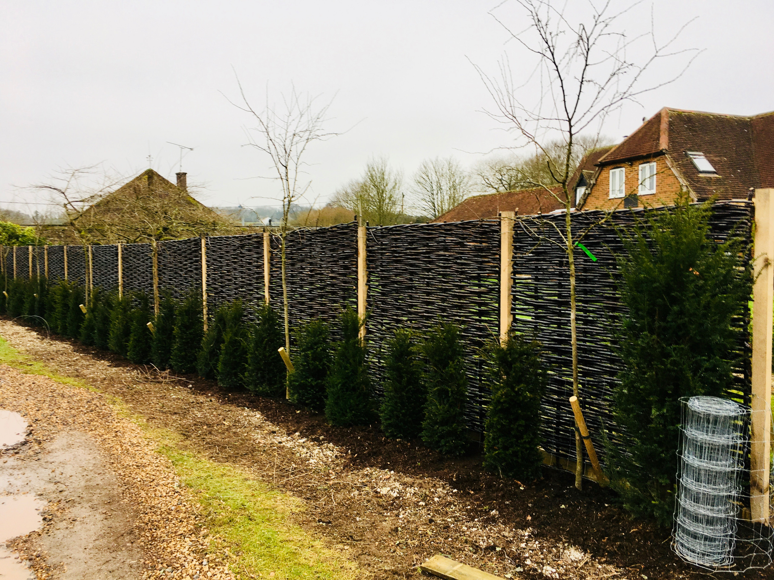 Garden Screening Ideas