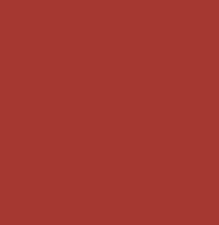 Rave Red 6608 Paint