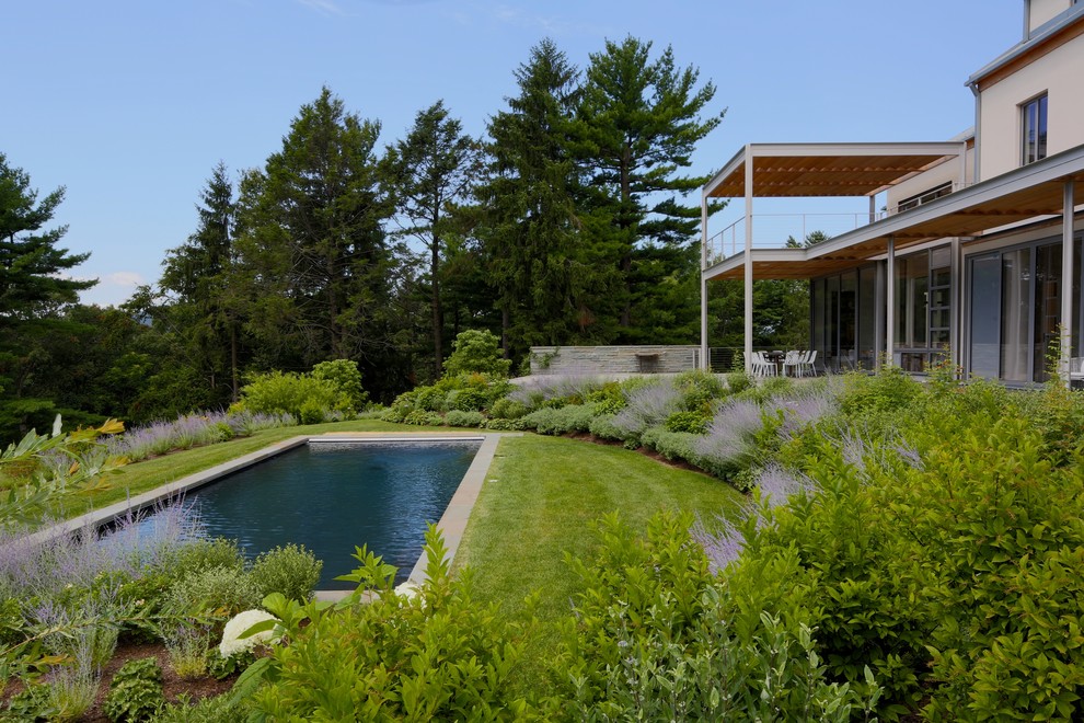Photo of a contemporary rectangular pool in New York with natural stone pavers.