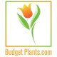 Budget Plants