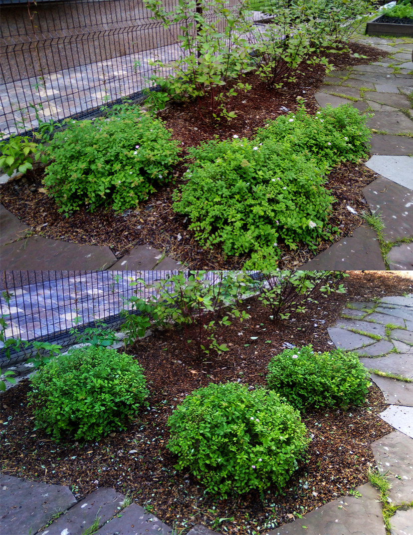 Обрезка и стрижка деревьев и кустарников