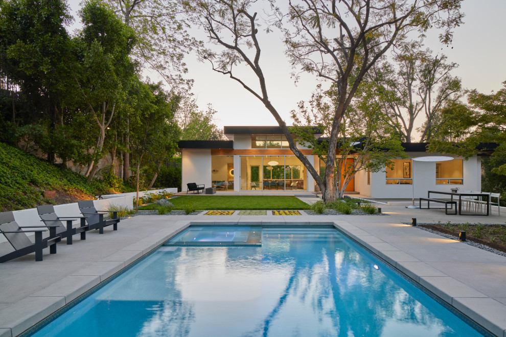 Example of a large trendy pool design in Los Angeles