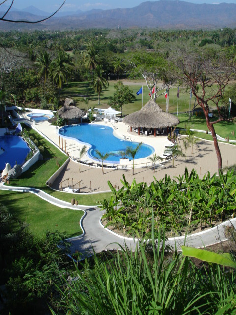 Pool - tropical pool idea