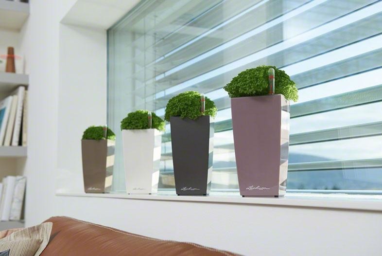 Раскройте свои планы