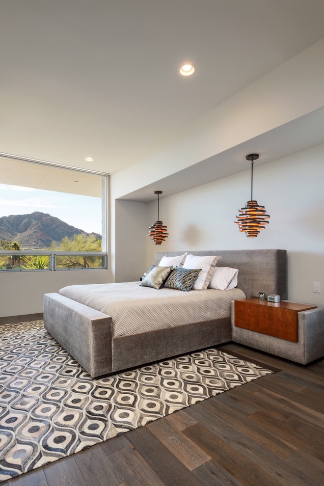 フェニックスにある広いコンテンポラリースタイルのおしゃれな寝室のインテリア