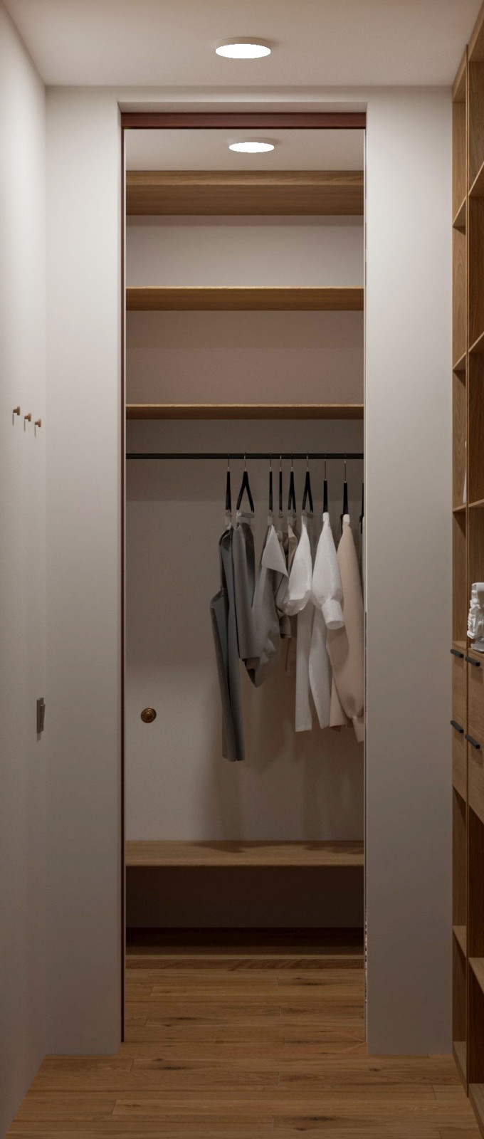 Проект квартиры в Москве, джапанди