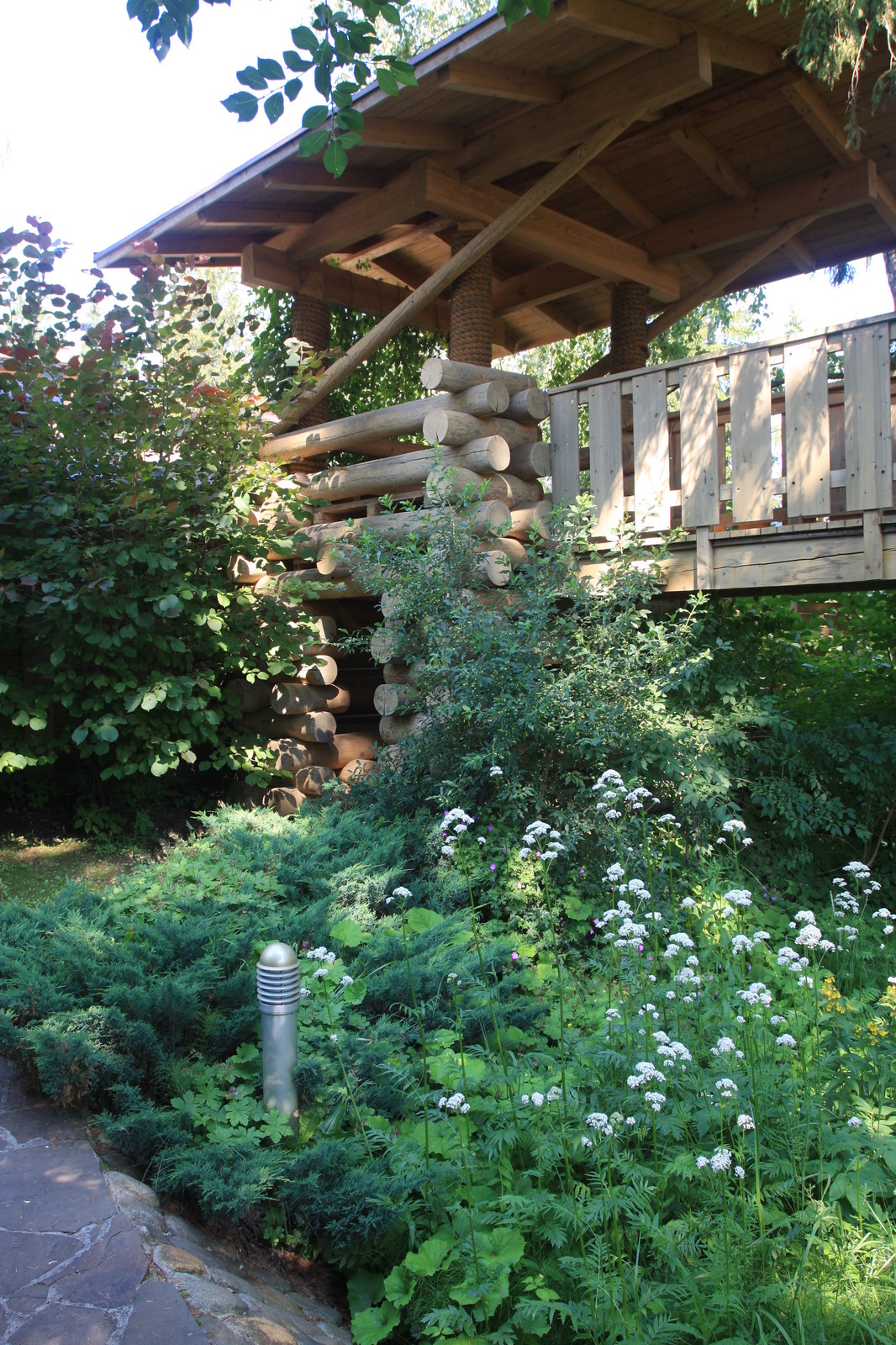 Лесная жизнь