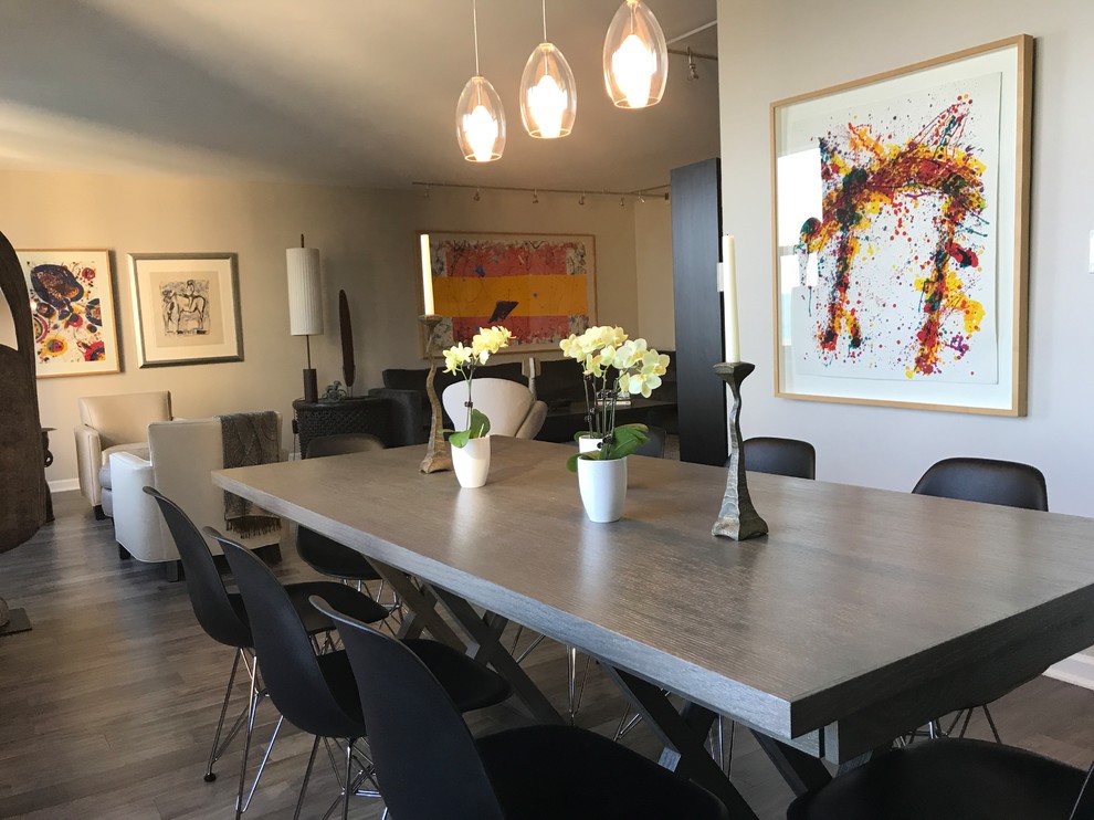 This is an example of a modern dining room in Chicago.